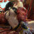 ★4K★Coser-YUNXIXI NO.33 深淵踊り子　46P1V